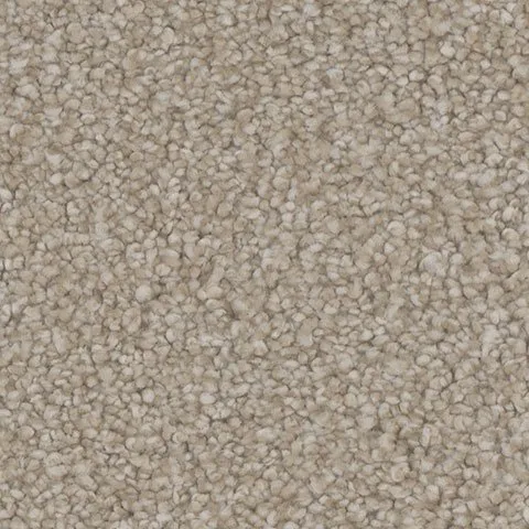 Carpet on sale from Wilder Flooring