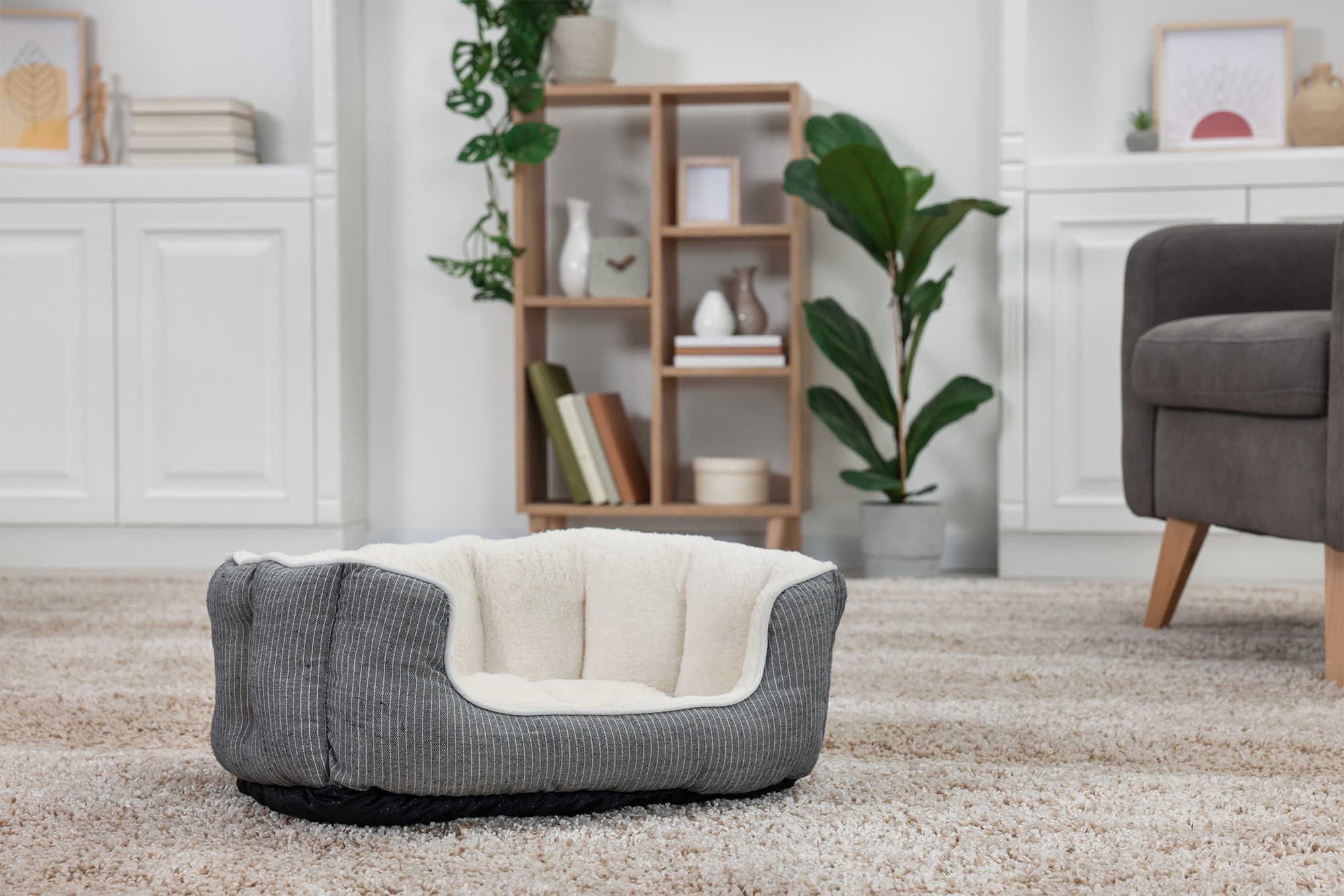 Wool vs. Synthetic: Comparing Luxury and Durability by Custom Carpet Centers