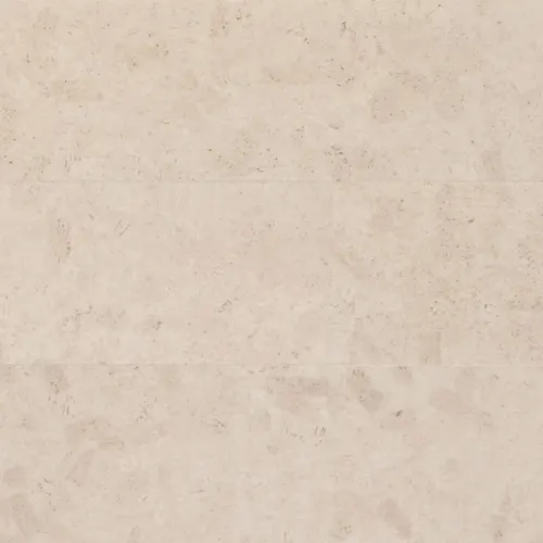 Cork in Charleston, SC