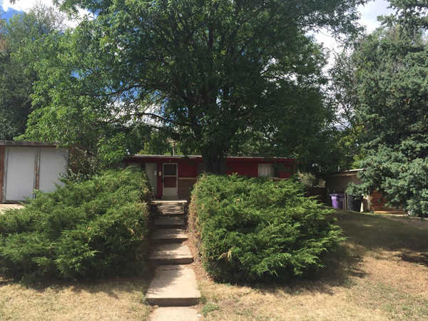 Perry in Castle Rock, CO and Denver Metro Area