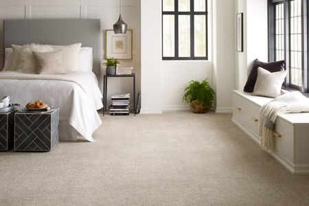 Comparing nylon and polyester carpet samples for home flooring selection