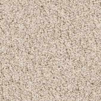Shop for Carpet in Cheektowaga, NY from Carpet Factory Outlet Shop for Carpet in Cheektowaga, NY from Carpet Factory Outlet