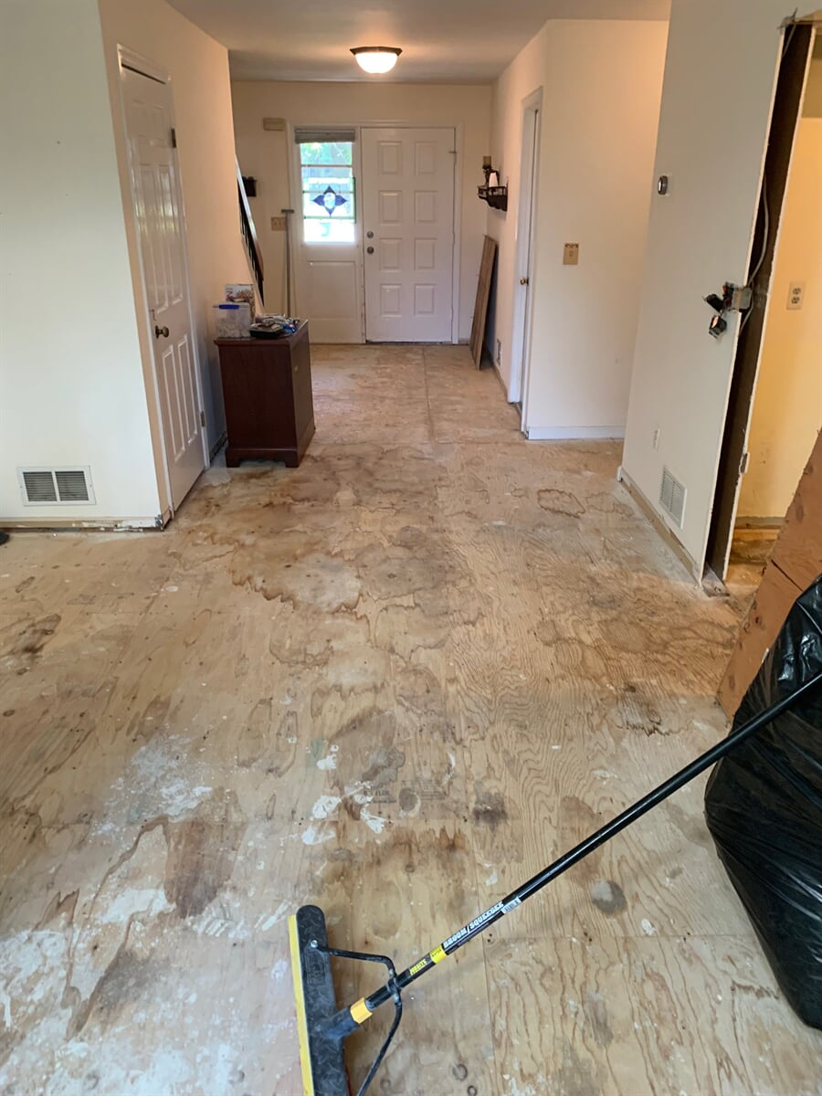 Our work from Bogart's Carpet