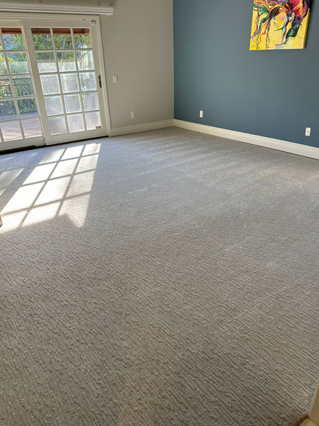 Our work in Laguna Niguel, CA