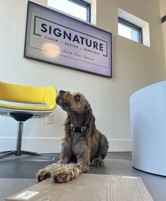 Nutmeg