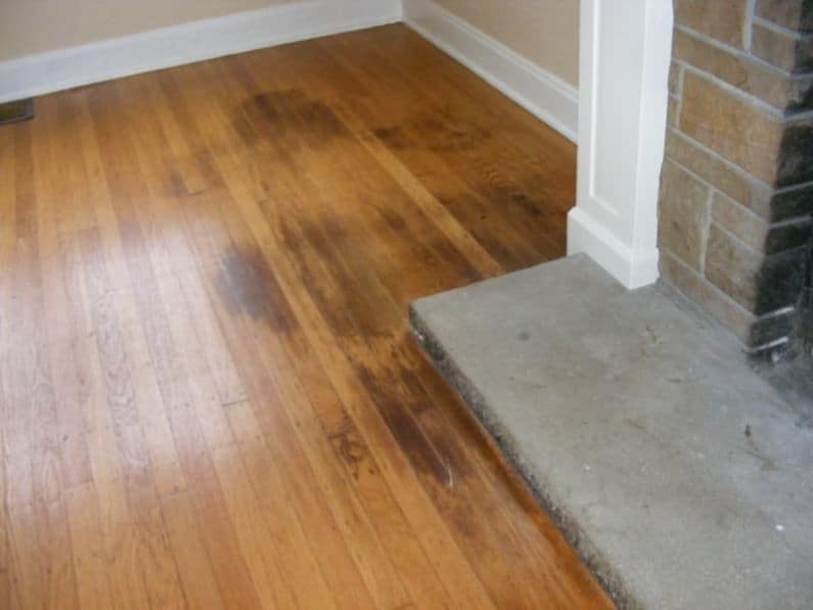 Moisture and pet accidents can discolor hardwood if not cleaned promptly