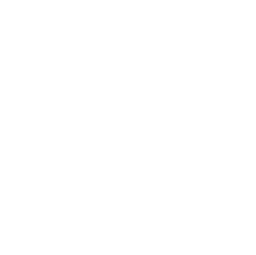 Google Google