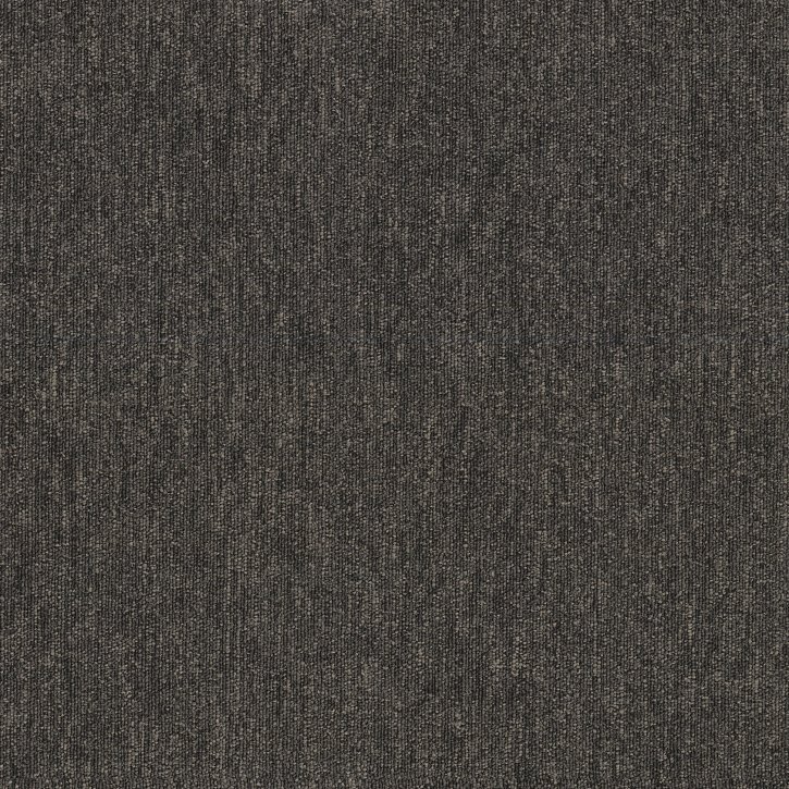 Profusion 13- Color: Cluster in Cinnaminson, NJ
