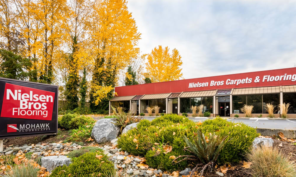 Great Floors Bellevue Washington Dc Floor Roma