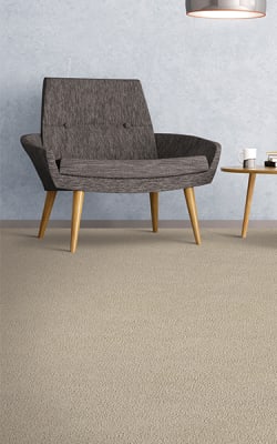 Shop for carpet in Sparks, NV from Five Star Hardwood Flooring