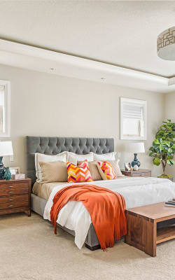 Carpet flooring in Tarpon Springs, FL from Paradise Flooring Solutions