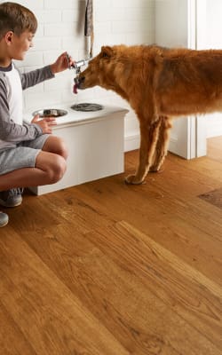 Waterproof flooring in Tiburon, CA from City Carpets