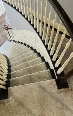 Carpet flooring in Long Island, NY from Nahas Rug