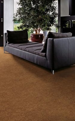 Vinyl flooring in Cottage Grove, WI from Walgenmeyer's Carpet & Tile