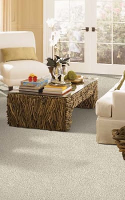 Carpet flooring in Sarasota, FL from Ultimate Design Center