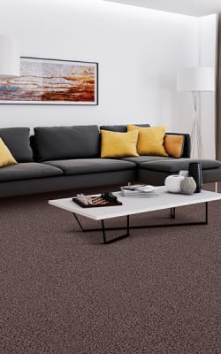 Carpet flooring in Miami, FL from Don Bailey Flooring