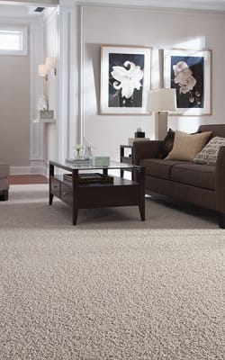 Carpet flooring in Mobile, AL from Mainstreet Flooring & Design Inc