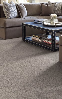 Wall-to-wall carpet flooring in Sudbury, MA from Flooring Carousel