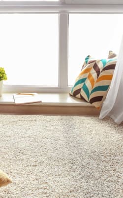 Carpet flooring in Huntington, WV from Kentucky Discount Flooring