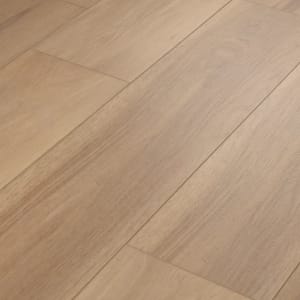 In-stock Shaw Fresh Take Collection Chaise Tan  from Premium Prestige Flooring