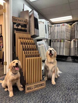 Finn & Dakota