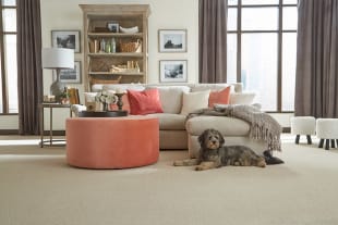Carpet Flooring Installation in Elk River, MN from Lefebvre's Carpet, LLC