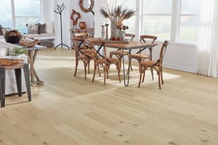 View our beautiful flooring galleries in Vero Beach, FL from Carpet & Tile Warehouse