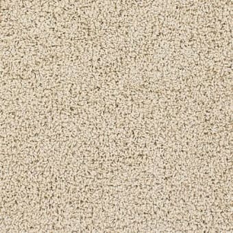 Carpet in Hemet CA from White's Discount Carpets