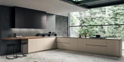 Pedini