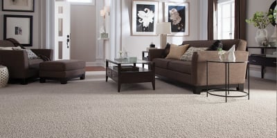 Carpet in Red Bank, NJ from Carpets with a Twist