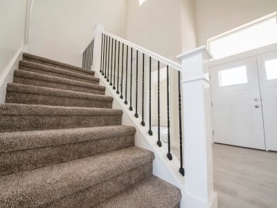 Carpet from Denver Carpet and Hardwood