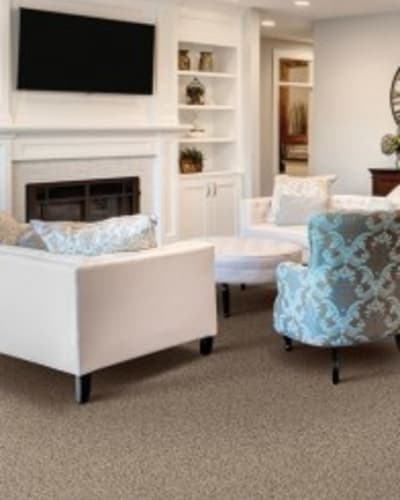 Carpet flooring in Holly Springs, NC from The Home Center Flooring & Lighting