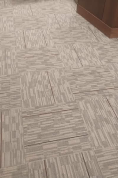 Our work in Hamilton, MT