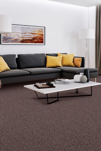 Carpet in Perrysburg, OH from Perrysburg Floor Covering & Design
