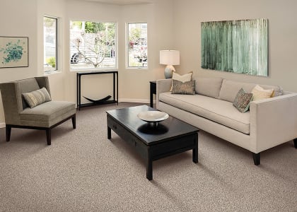 Shop for carpet in Stevensville, MD from Kent Island Abbey Floor Coverings