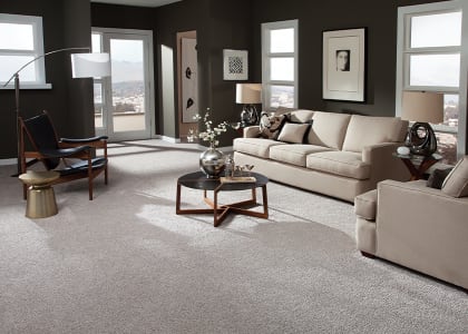 Shop carpet in Monroe, MI