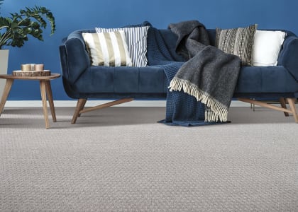 Shop for carpet in 