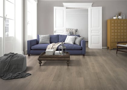 Shop for laminate flooring in 