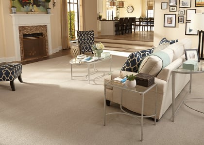 Shop for carpet in Harrisburg, PA from Harrisburg Wall & Flooring