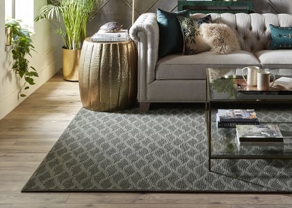 Shop for area rugs in Roaring Valley