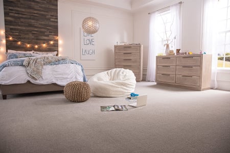 Shop for carpet in 