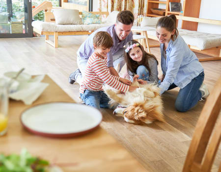 Reviews from Frankful Flooring LLC in Reno, NV Metro & Lake Tahoe, CA 