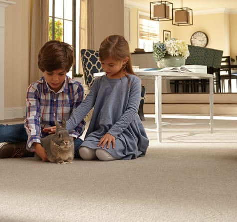 Children playing with bunny on carpet