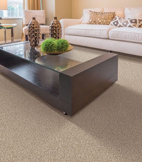 Friendly Floors About Carpet