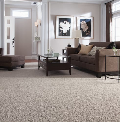 Carpet flooring buying guide available in Maple Ridge, BC from Diverse Flooring