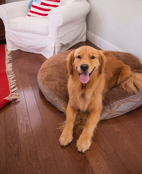 About hardwood in San Diego, CA from America's Best Flooring