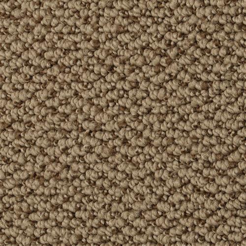 Carpet in Beaverton, OR
