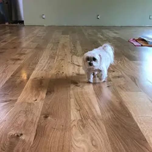 [PRODUCTNAME HERE] in Northern California