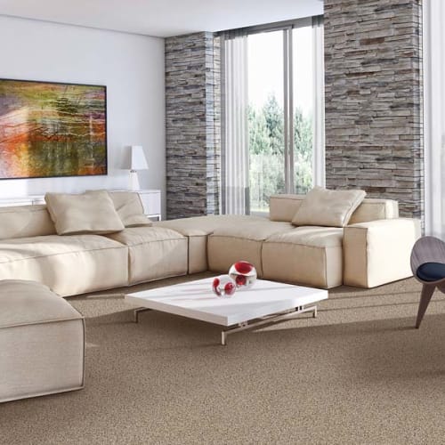 Carpet in Apple Valley, MN