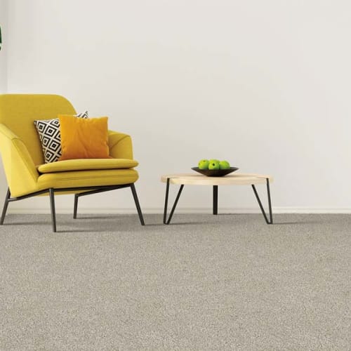 Shop for Carpet in Pittsburgh, PA from Virgin Carpets